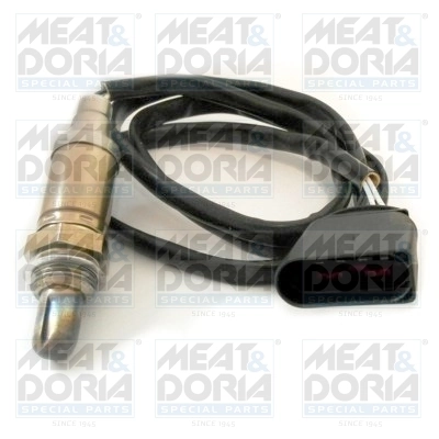 Oxygen Sensor